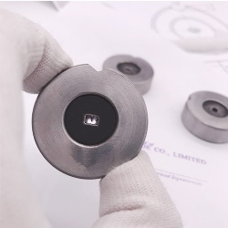 Tungsten carbide profile dies